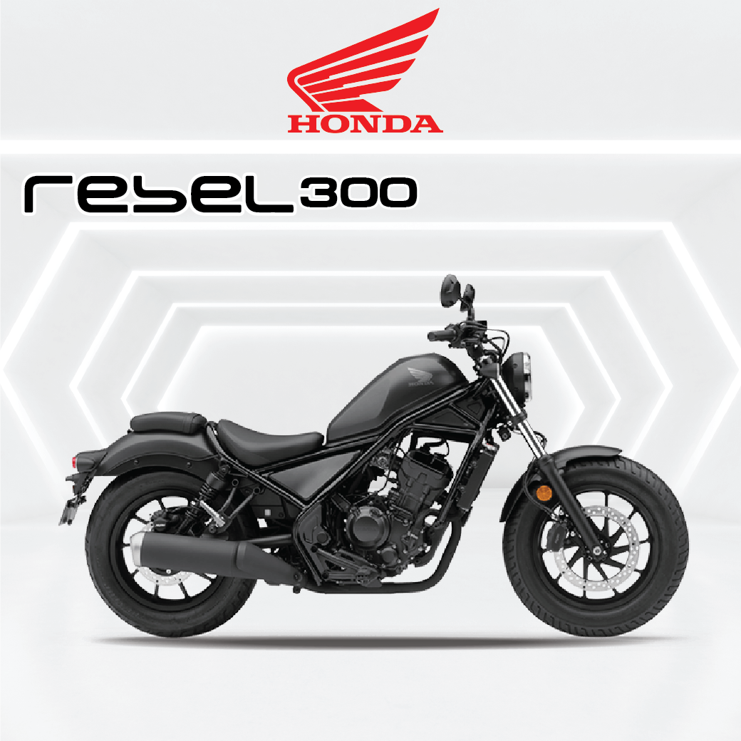 20250613_Pictures Web Panda Honda-08_0