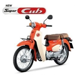 Honda Super Cub ปี 2019